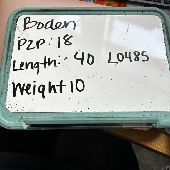 Boden Green Spade Print V Neck Short Sleeve A Line Mini Dress Size US 6L - Picture 7 of 7